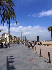 People walking on road