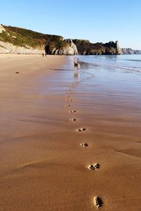 Paw prints of dog walking at beach against sky