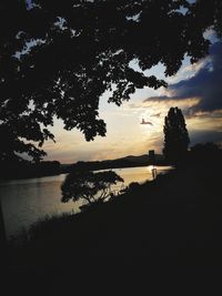 Silhouette tree by lake against sky during sunset