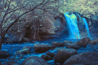 Aerial view of waterfall in forest