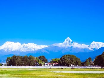 Scenic view of landscape against clear blue sky