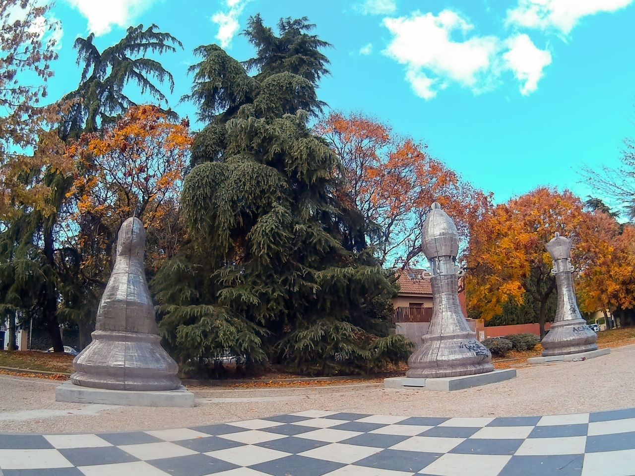 FOOTPATH AMIDST TREES IN PARK