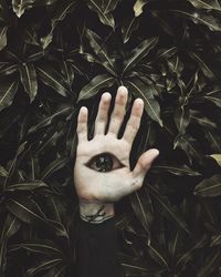 Close-up of woman hand over black background