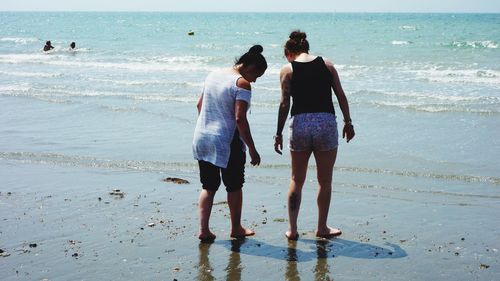 Rear view of people standing on beach