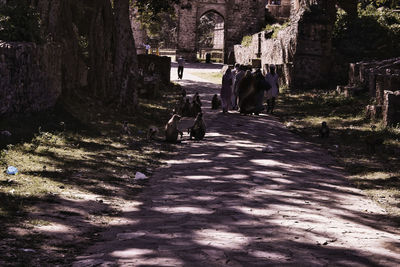 Rear view of people walking on road amidst trees