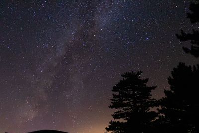 Low angle view of silhouette trees against sky at night