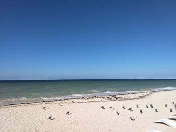 Scenic view of beach against clear blue sky