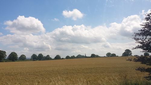 Scenic view of field against sky