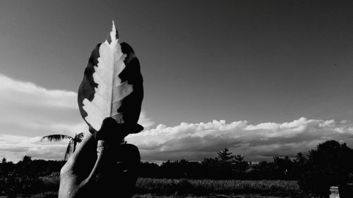 Low angle view of statue against sky