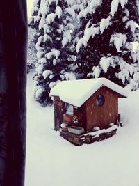 Building covered with snow