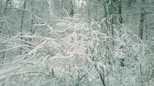 Full frame shot of snowflakes