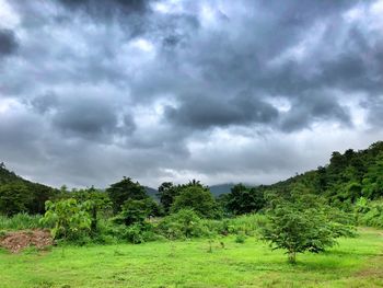 Scenic view of trees on land against sky
