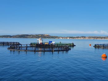 People on pier over sea against clear blue sky
