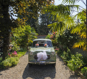 Car on road