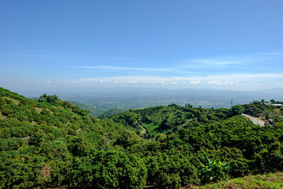 High angle view of trees on landscape against sky
