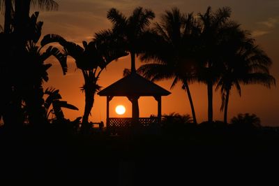 Silhouette of trees at sunset