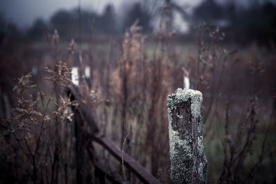 Old abandoned fence on field at dusk