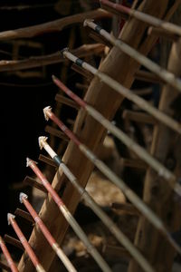Close-up of stack of firewood