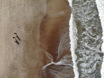 Aerial view of surfers at sea shore