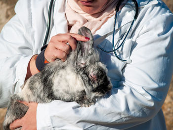 Midsection of veterinarian examining rabbit while standing outdoors