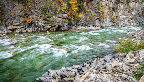Scenic view of river flowing through rocks in forest