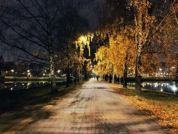 Illuminated street amidst trees at park during night