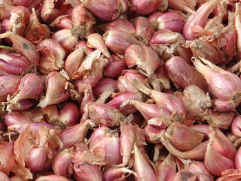 Full frame shot of shallot  for sale in market