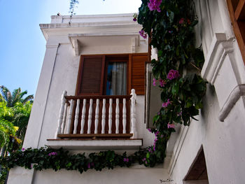 Low angle view of potted plants on balcony of building