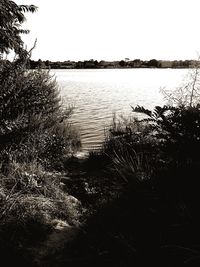 Scenic view of lake against clear sky