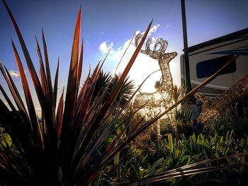 Close-up of plants against sky