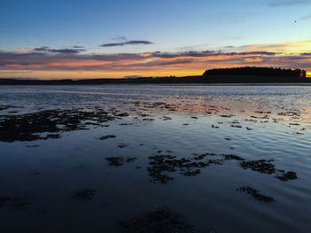 Scenic view of lake at sunset