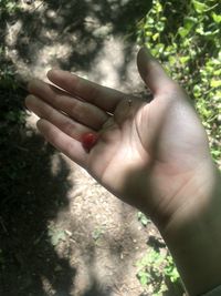 Close-up of woman hand on finger