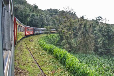 Train on railroad track amidst trees against sky