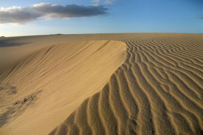 Scenic view of desert against sky