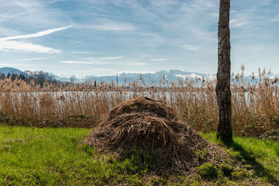 Pfaeffikon, switzerland, april 10, 2023 view at the lake pfaeffikersee with the snow covered alps 