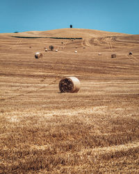 Hay bales on field against clear sky