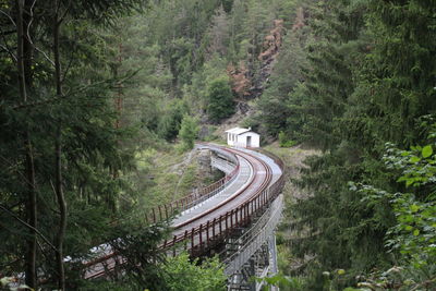 High angle view of railroad tracks amidst trees in forest