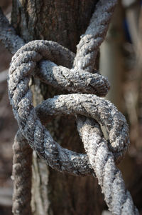 Close-up of rope