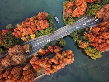 High angle view of bridge amidst trees over river