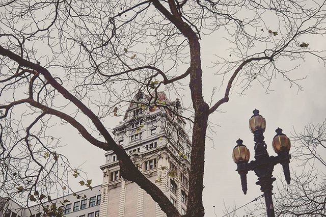 bare tree, building exterior, architecture, built structure, tree, city, branch, sky, men, clear sky, lifestyles, day, city life, street light, outdoors, leisure activity, building, low angle view, person