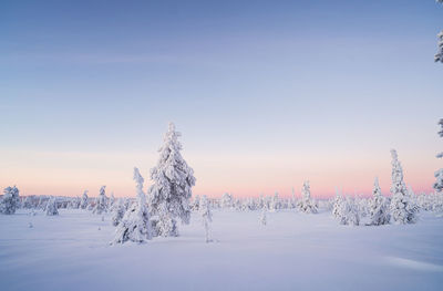 Scenic view of snow covered land against clear sky during winter