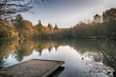 Reflection of trees in lake against sky