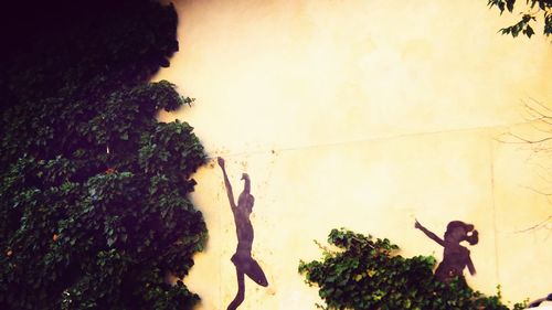 Rear view of woman with ivy on tree