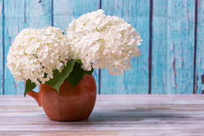 Close-up of potted plant on table