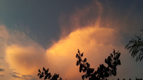 Low angle view of silhouette tree against dramatic sky