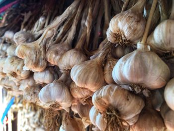 Close-up of pumpkins in market