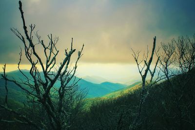 Scenic view of landscape against cloudy sky