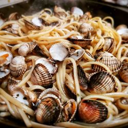 Full frame shot of seashells