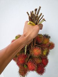 Cropped hand holding plant against wall