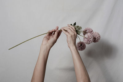 Close-up of woman holding flower